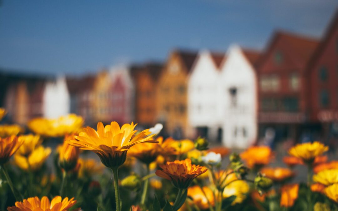 Private Walking Tours in Bergen – When Personalised Experience Matters